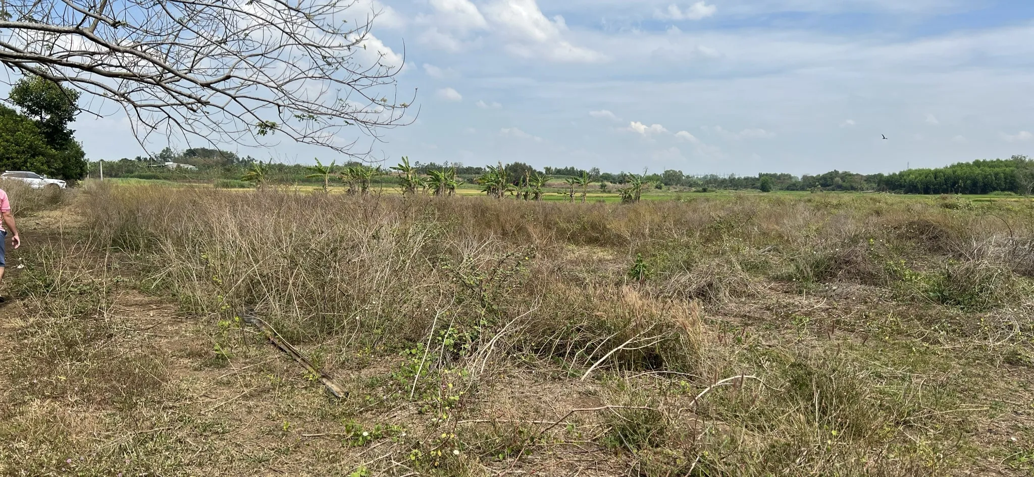 Long Tân 3,5 ha — ảnh 1