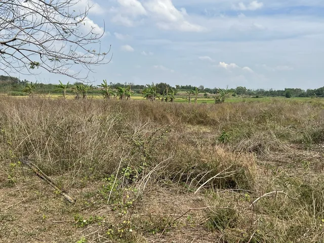 Long Tân 3,5 ha — ảnh 1