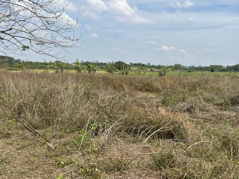 Long Tân 3,5 ha — ảnh 1