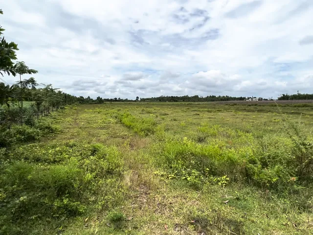 Bình Trung 1,5 ha — ảnh 1