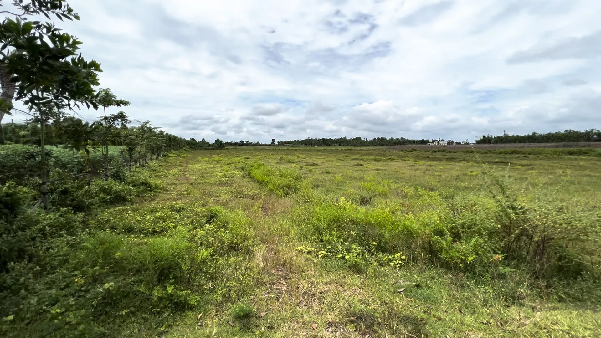 Bình Trung 1,5 ha — ảnh 1