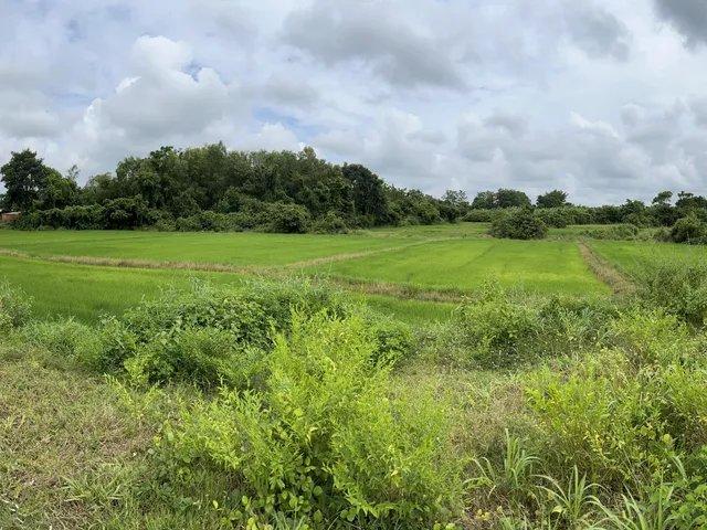 3,3 Sào Hòa Long — ảnh 2