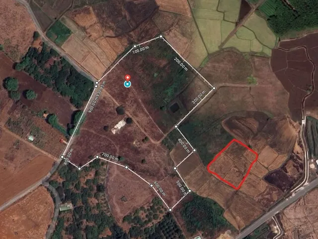 Long Tân 3,5 ha — ảnh 3