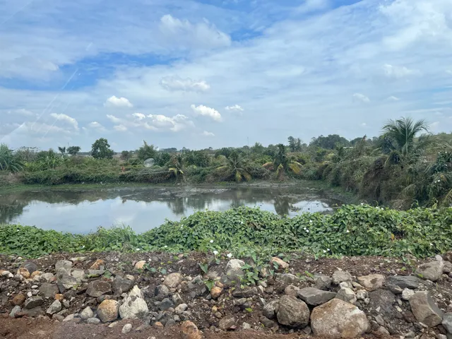 Vườn Bưởi Suối Rao 2,7 ha — ảnh 4