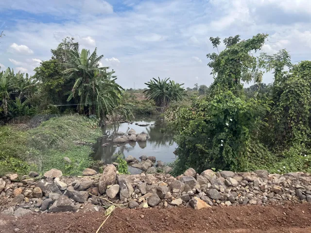 Vườn Bưởi Suối Rao 2,7 ha — ảnh 5