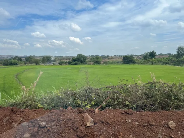Vườn Bưởi Suối Rao 2,7 ha — ảnh 6