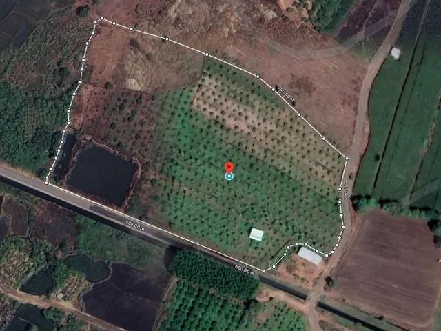 Vườn Bưởi Suối Rao 2,7 ha — ảnh 9
