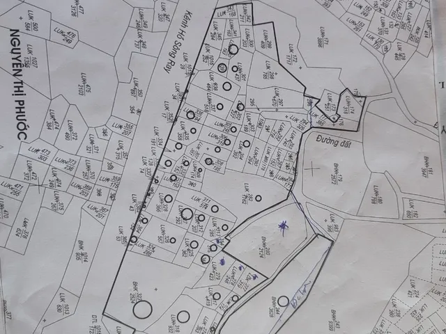 Vườn Bưởi Suối Rao 2,7 ha — ảnh 11
